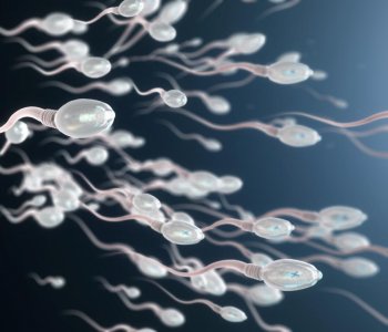 Sperm Sayısı düşüklüğü ve kısırlık